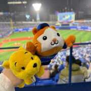 ヒメ日記 2025/06/11 12:03 投稿 ひまり MIKADO