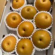 ヒメ日記 2025/09/30 11:22 投稿 ひまり MIKADO