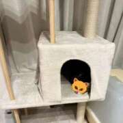 ヒメ日記 2025/10/21 13:08 投稿 ひまり MIKADO