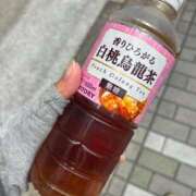 ヒメ日記 2025/06/02 12:40 投稿 秋吉　れいさ エテルナ京都