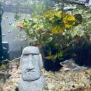 秋吉　れいさ おはようございます☺︎︎ エテルナ京都