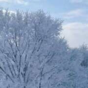 ヒメ日記 2025/01/01 11:08 投稿 ななこ 札幌回春性感マッサージ倶楽部