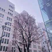 ヒメ日記 2025/04/23 16:08 投稿 ななこ 札幌回春性感マッサージ倶楽部