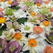 ヒメ日記 2025/05/08 15:28 投稿 ななこ 札幌回春性感マッサージ倶楽部