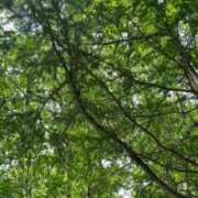 ヒメ日記 2025/07/10 14:28 投稿 ななこ 札幌回春性感マッサージ倶楽部