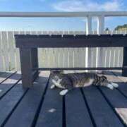 ヒメ日記 2025/08/31 13:08 投稿 ななこ 札幌回春性感マッサージ倶楽部