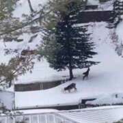 ヒメ日記 2026/01/03 07:48 投稿 ななこ 札幌回春性感マッサージ倶楽部