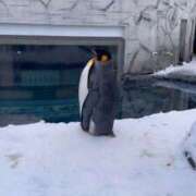 ヒメ日記 2026/01/03 10:08 投稿 ななこ 札幌回春性感マッサージ倶楽部