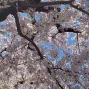 ヒメ日記 2026/05/06 12:08 投稿 ななこ 札幌回春性感マッサージ倶楽部