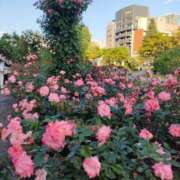 ヒメ日記 2026/06/12 14:58 投稿 ななこ 札幌回春性感マッサージ倶楽部