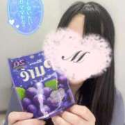 ヒメ日記 2025/05/09 22:23 投稿 まゆか フェアリードール