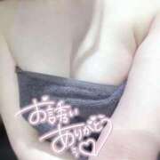 ヒメ日記 2025/05/14 15:13 投稿 まゆか フェアリードール