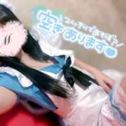 ヒメ日記 2025/07/11 13:03 投稿 まゆか フェアリードール