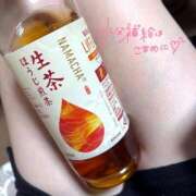 ヒメ日記 2025/07/20 11:23 投稿 まゆか フェアリードール