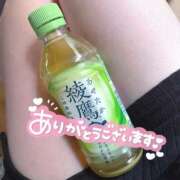 ヒメ日記 2025/09/23 16:13 投稿 まゆか フェアリードール