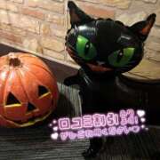 ヒメ日記 2025/09/26 18:23 投稿 まゆか フェアリードール