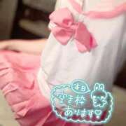 ヒメ日記 2026/01/20 07:23 投稿 まゆか フェアリードール