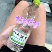 ヒメ日記 2026/04/03 07:03 投稿 まゆか フェアリードール