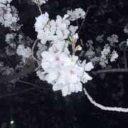 ヒメ日記 2025/03/30 21:36 投稿 うい 久留米デリヘルセンター