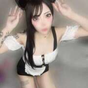 ヒメ日記 2025/08/23 14:29 投稿 さら 帯広黒い金魚