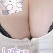 ヒメ日記 2025/05/29 16:27 投稿 りん ダンシングおっぱいTEAM爆