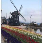 ヒメ日記 2025/03/09 22:20 投稿 えみ 即トク奥さん