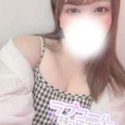 ヒメ日記 2025/06/04 15:19 投稿 るり 池袋ぱんぷきん（シンデレラグループ）