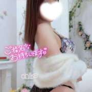 ヒメ日記 2026/01/26 12:08 投稿 ちか 池袋人妻ヒットパレード（シンデレラグループ）