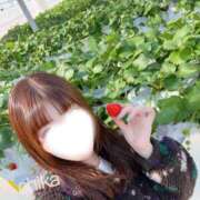 ヒメ日記 2026/03/11 13:45 投稿 ちか 池袋人妻ヒットパレード（シンデレラグループ）