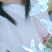 ヒメ日記 2025/06/20 13:36 投稿 絵名しはる 五十路マダム 徳島店