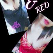 ヒメ日記 2025/08/08 12:22 投稿 絵名しはる 五十路マダム 徳島店