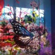 ヒメ日記 2025/02/16 15:43 投稿 ももか CLUB DEEP