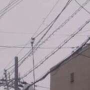 ヒメ日記 2025/04/10 23:14 投稿 ももか CLUB DEEP