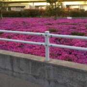 ヒメ日記 2025/04/21 17:44 投稿 ももか CLUB DEEP