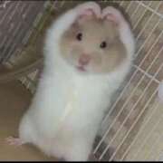 ヒメ日記 2025/07/31 16:19 投稿 さら 11チャンネル