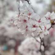 ヒメ日記 2025/03/28 12:18 投稿 かずは カクテル(岡山)