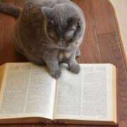 ヒメ日記 2025/06/15 15:02 投稿 にこ 出会い系人妻ネットワーク さいたま～大宮編