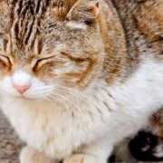 ヒメ日記 2025/07/02 21:22 投稿 にこ 出会い系人妻ネットワーク さいたま～大宮編