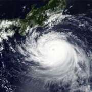 ヒメ日記 2025/07/14 22:24 投稿 にこ 出会い系人妻ネットワーク 春日部〜岩槻編