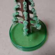 ヒメ日記 2024/12/21 22:55 投稿 よしえ 池袋おかあさん