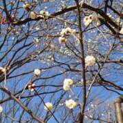 ヒメ日記 2025/01/29 08:44 投稿 よしえ 池袋おかあさん