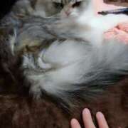 ヒメ日記 2025/02/09 11:25 投稿 よしえ 池袋おかあさん