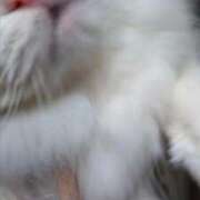 ヒメ日記 2025/03/05 10:44 投稿 よしえ 池袋おかあさん