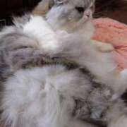 ヒメ日記 2025/03/09 10:14 投稿 よしえ 池袋おかあさん