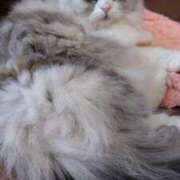 ヒメ日記 2025/03/16 13:37 投稿 よしえ 池袋おかあさん