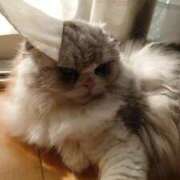 ヒメ日記 2025/03/23 14:34 投稿 よしえ 池袋おかあさん