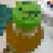 ヒメ日記 2025/03/26 13:44 投稿 よしえ 池袋おかあさん