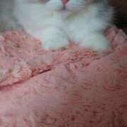 ヒメ日記 2025/03/30 13:34 投稿 よしえ 池袋おかあさん