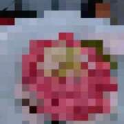 ヒメ日記 2025/04/01 11:34 投稿 よしえ 池袋おかあさん