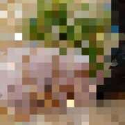 ヒメ日記 2025/04/06 11:06 投稿 よしえ 池袋おかあさん